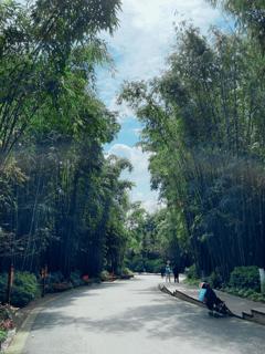 chengdu